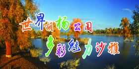 世界胡杨公园多彩美丽沙雅