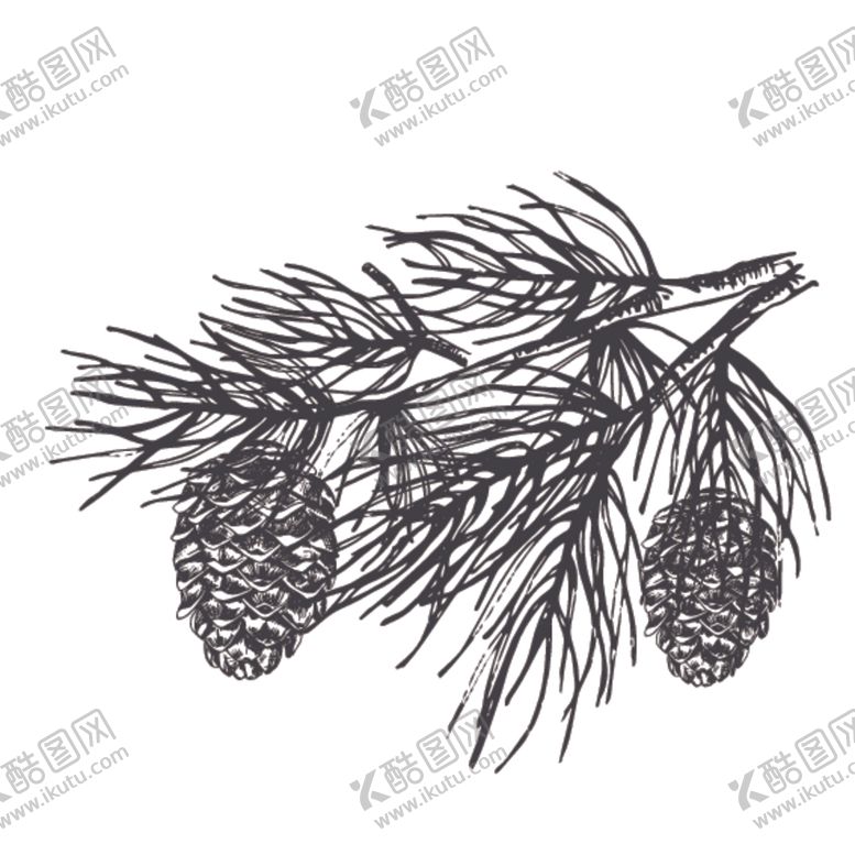 编号：61810910301831271924【酷图网】源文件下载-森系简约装饰图案