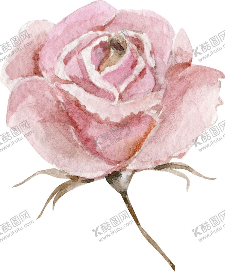 编号：85695707130653577331【酷图网】源文件下载-水彩绘画花朵树枝装饰