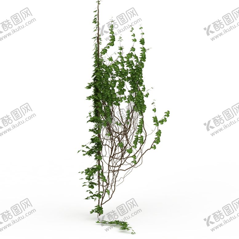 编号：81127409162142085258【酷图网】源文件下载-绿色装饰