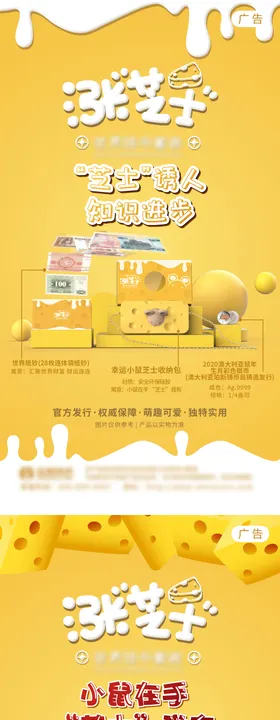 芝士产品钱币海报飞