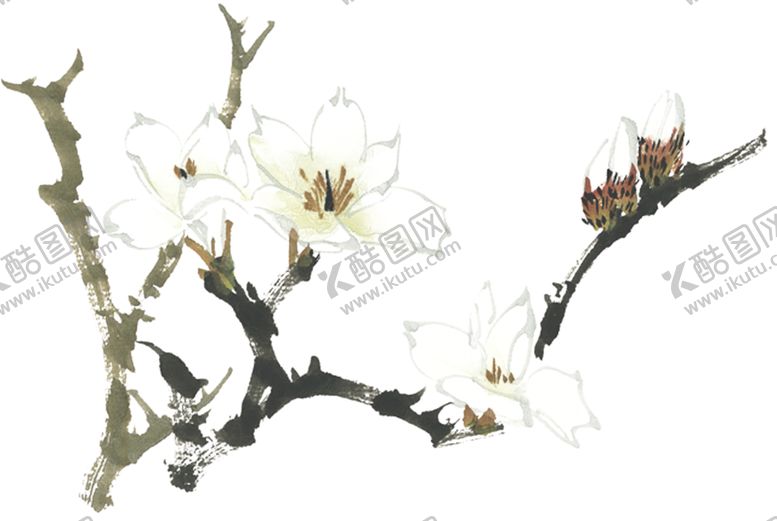 编号：32390205131903132497【酷图网】源文件下载-菊花装饰