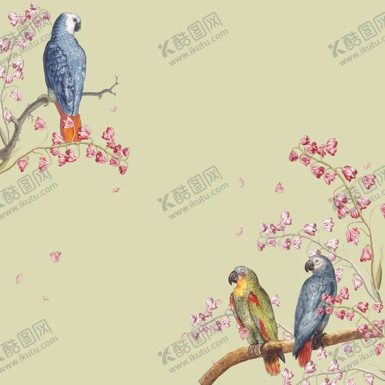 编号：44789804250023529455【酷图网】源文件下载-小鸟