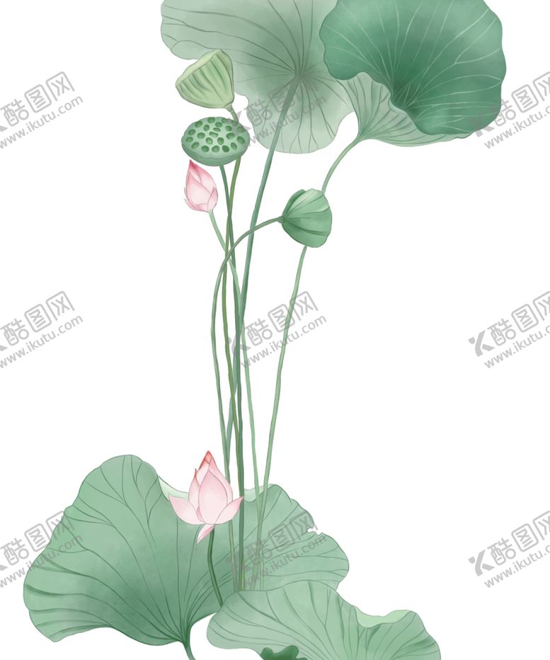 编号：65191303290956292102【酷图网】源文件下载-荷花元素