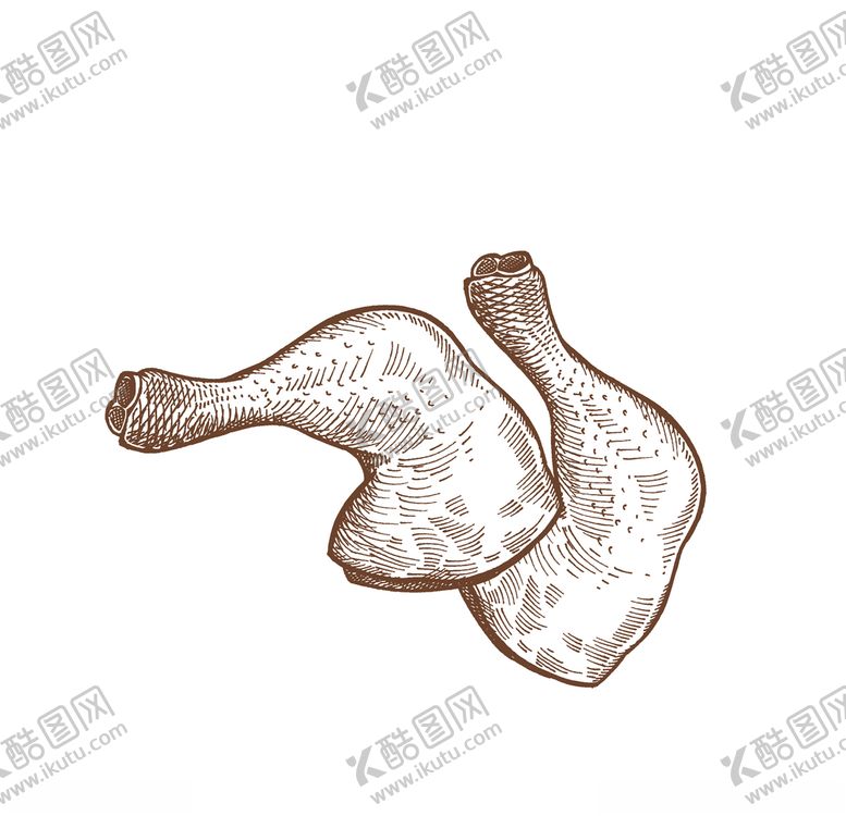 编号：49735809121909159196【酷图网】源文件下载-鸡腿