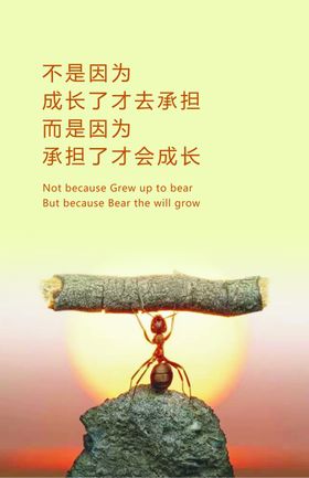挂图