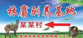 蓝天白云绿草地