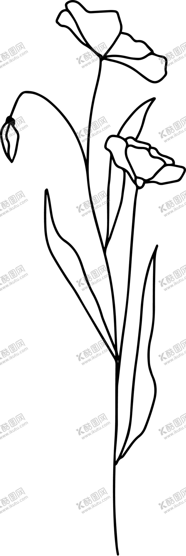 编号：15582604060253232063【酷图网】源文件下载-手绘花藤花纹
