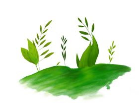 自然风光绿植设计
