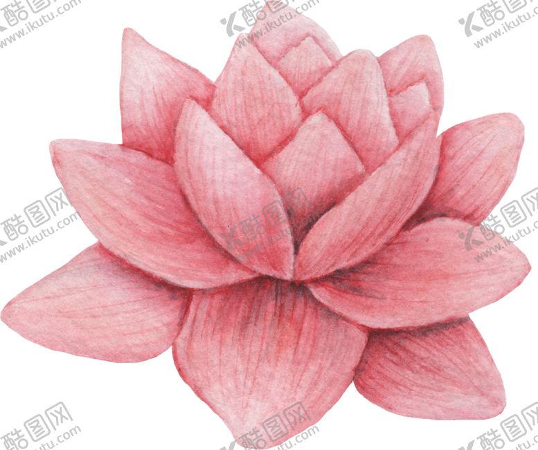 编号：77280002150923414644【酷图网】源文件下载-手绘植物花草