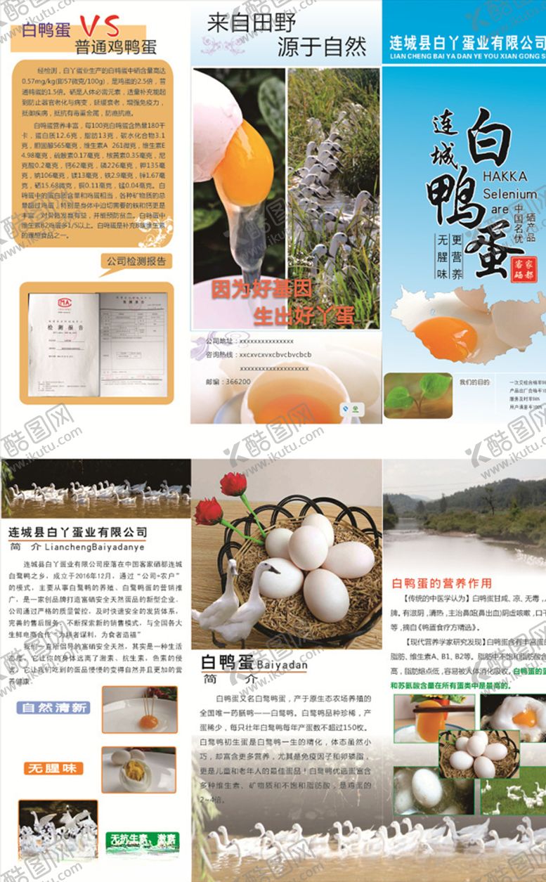 编号：72362109171810284320【酷图网】源文件下载-连城白鸭折页