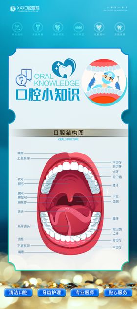 口腔结构图