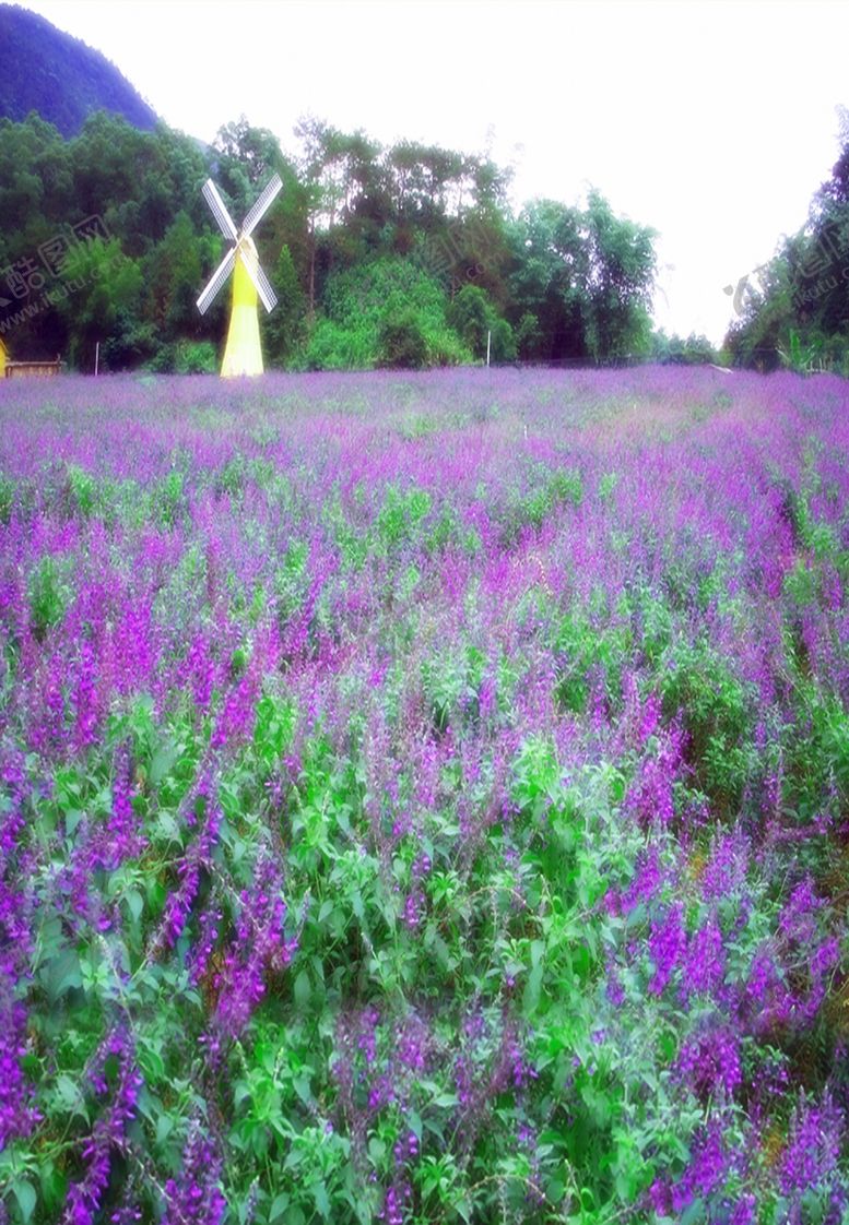 编号：52979010051051477910【酷图网】源文件下载-壁纸图片