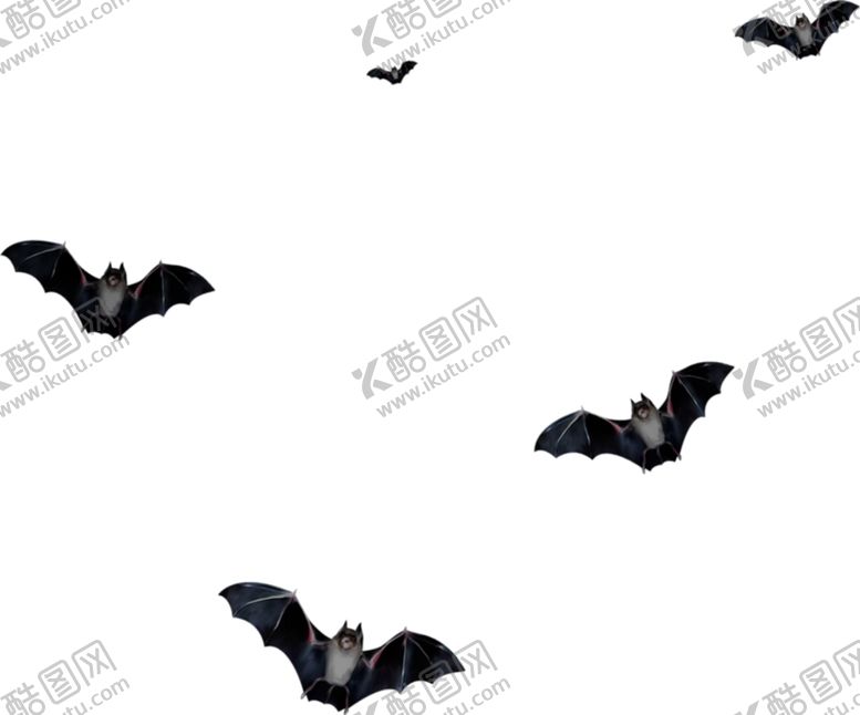 编号：24081604172146348631【酷图网】源文件下载-万圣节蝙蝠
