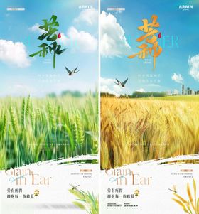 芒种小麦麦田风景海报