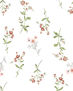 花枝