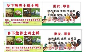 鸡鸭店名片客家土鸡
