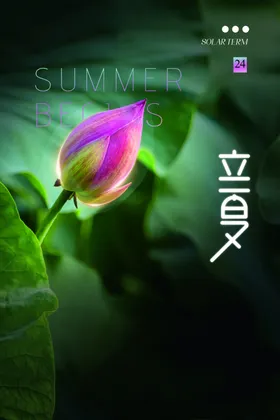 立夏小暑广告宣传