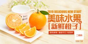 橙子海报