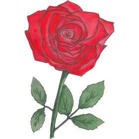 花图片