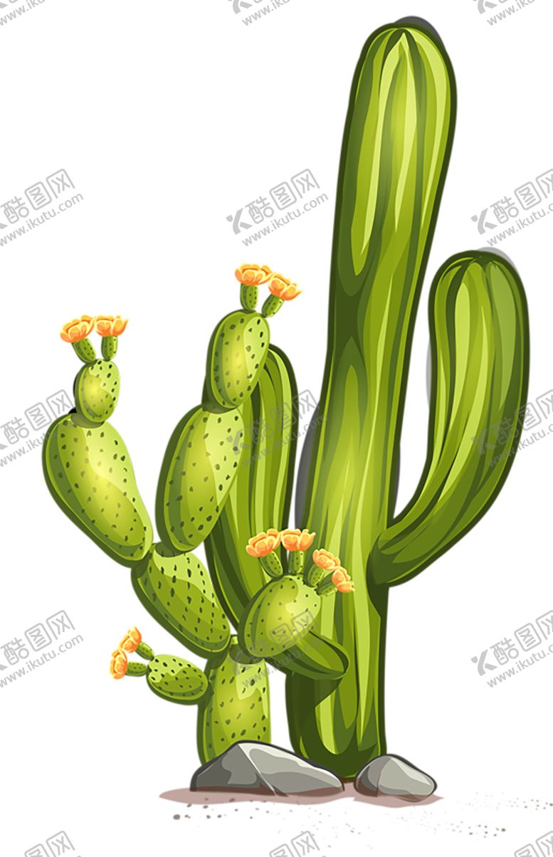 编号：79122110161324081819【酷图网】源文件下载-绿色相框