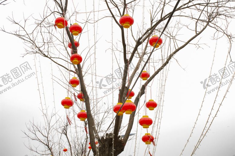编号：13361005140246325582【酷图网】源文件下载-大红灯笼高高挂