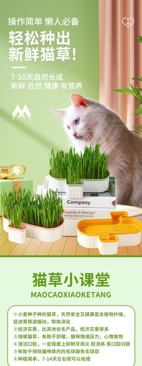 宠物用品猫草种植培养皿详情页