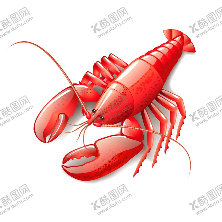 编号：54078209191926523986【酷图网】源文件下载-小龙虾