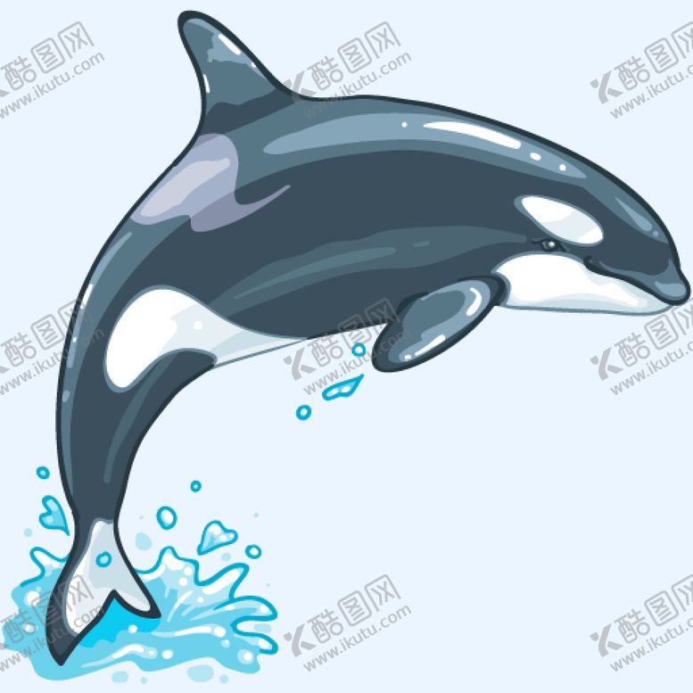 编号：23957809130904151605【酷图网】源文件下载-鲸鱼