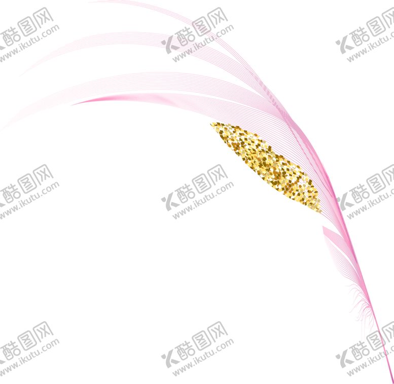 编号：70808102171245535134【酷图网】源文件下载-羽毛 素材