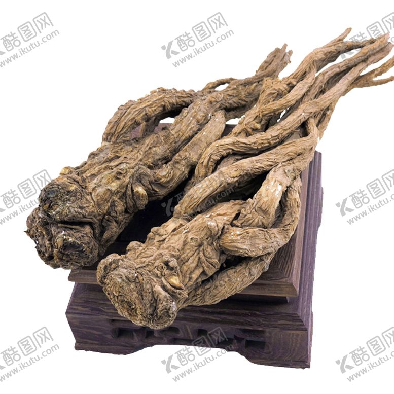 编号：49910710282019252919【酷图网】源文件下载-当归