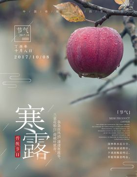 寒露海报