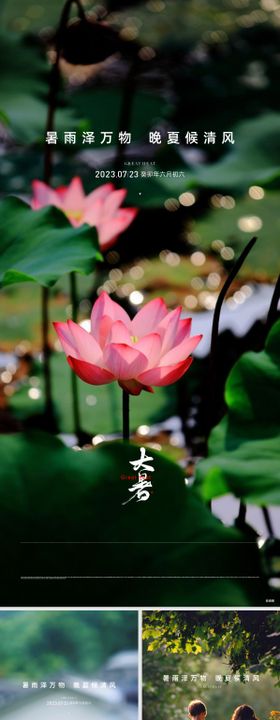 地产大暑节气海报