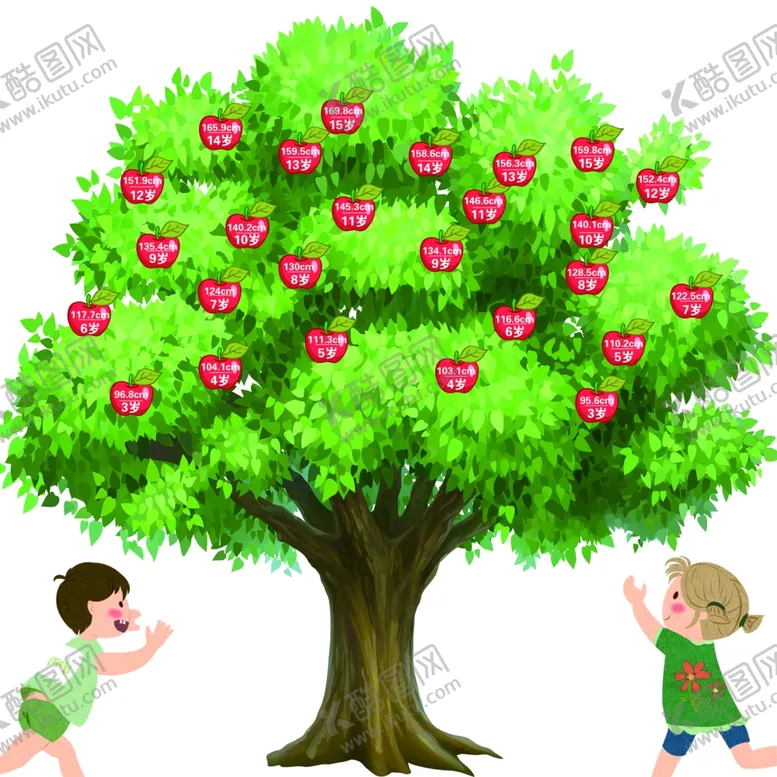 编号：11675205190832079059【酷图网】源文件下载-身高标准测量苹果树