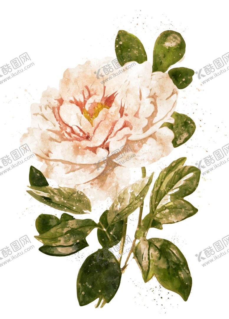 编号：74709909260118163094【酷图网】源文件下载-手绘花卉