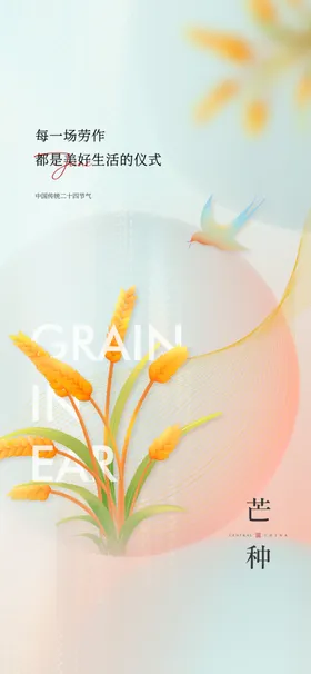 芒种