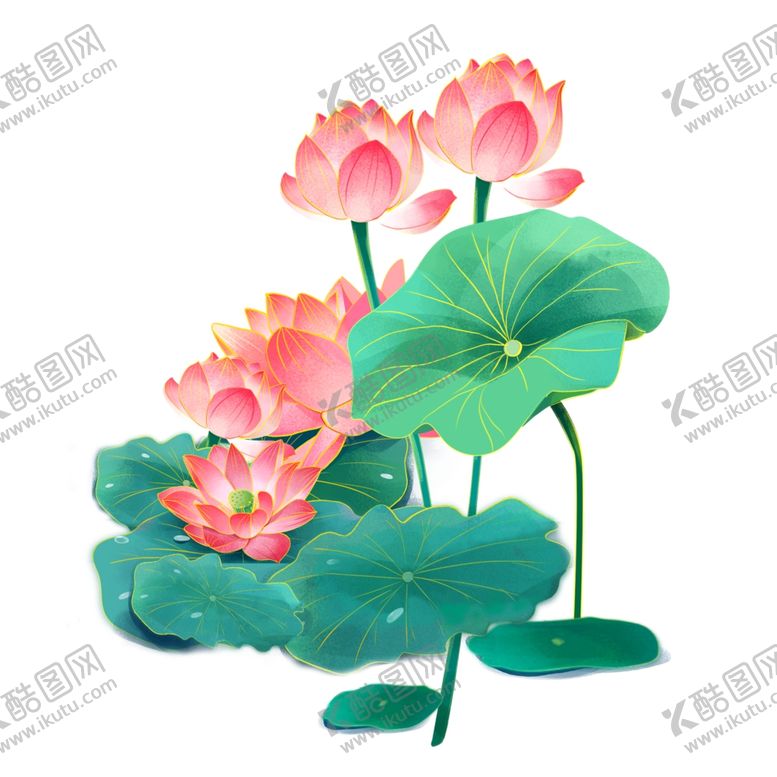 编号：54210102160315378457【酷图网】源文件下载-荷花