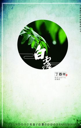 露珠白露
