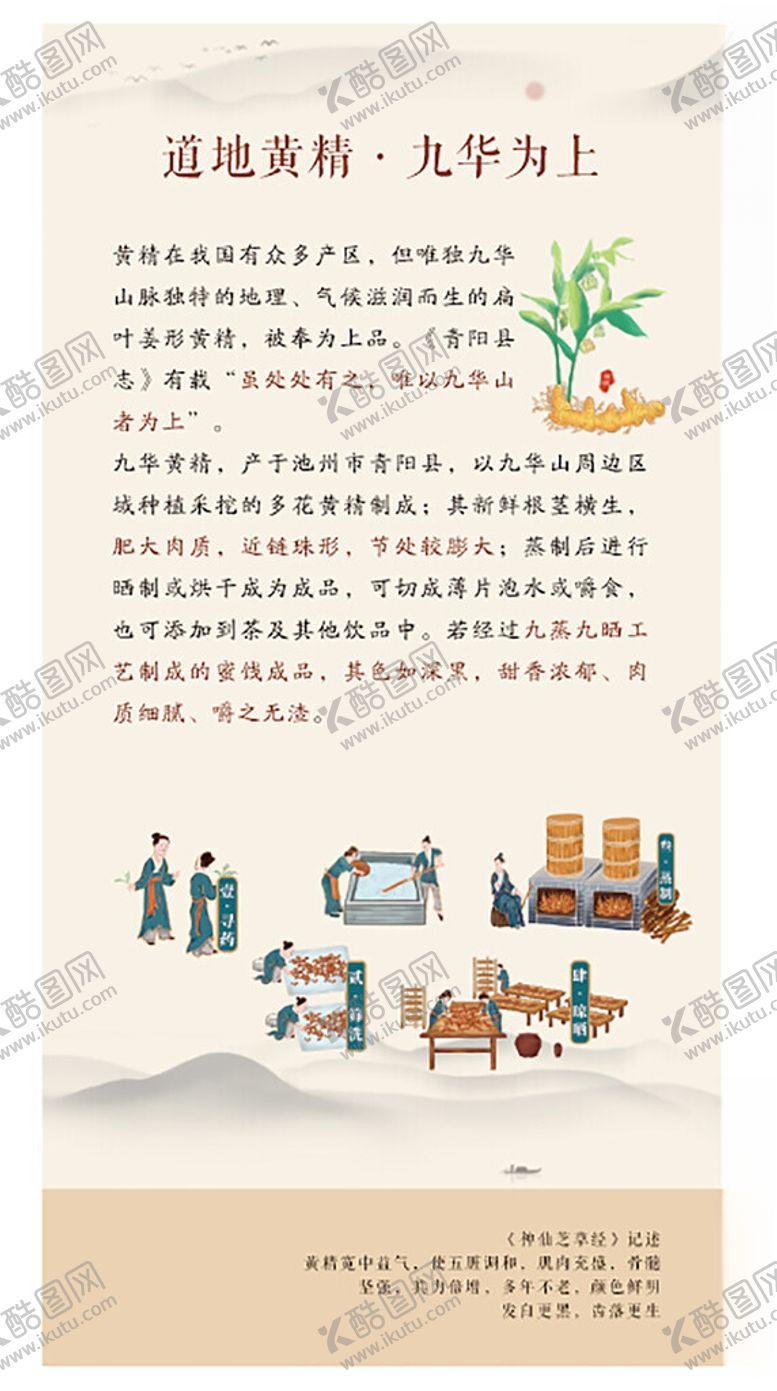 编号：93889904242131124631【酷图网】源文件下载-黄精宣传