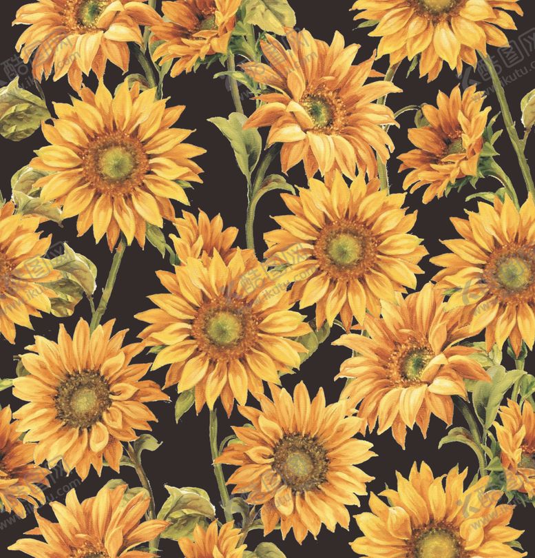 编号：71768309190603469186【酷图网】源文件下载-大牌向日葵手绘太阳花时尚