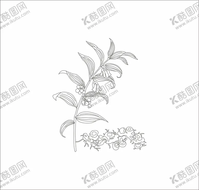 编号：95277802090205388602【酷图网】源文件下载-黄精