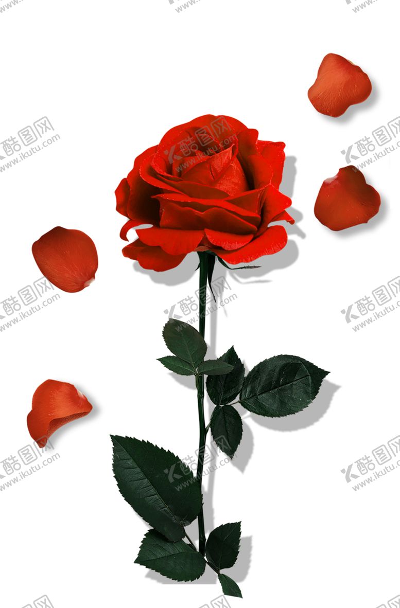 编号：58363707040231547273【酷图网】源文件下载-浪漫素材