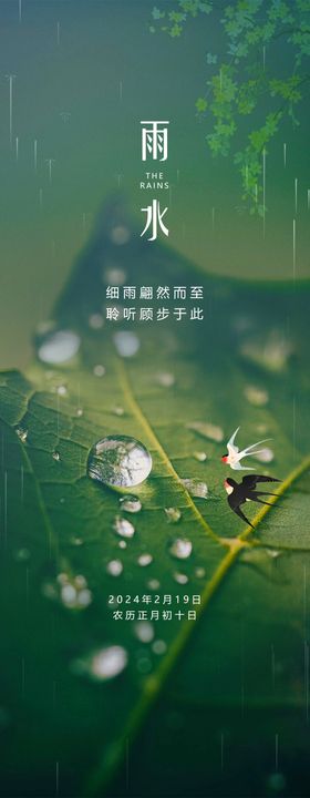 绿色渐变弥散风格清新雨水节气宣传海报