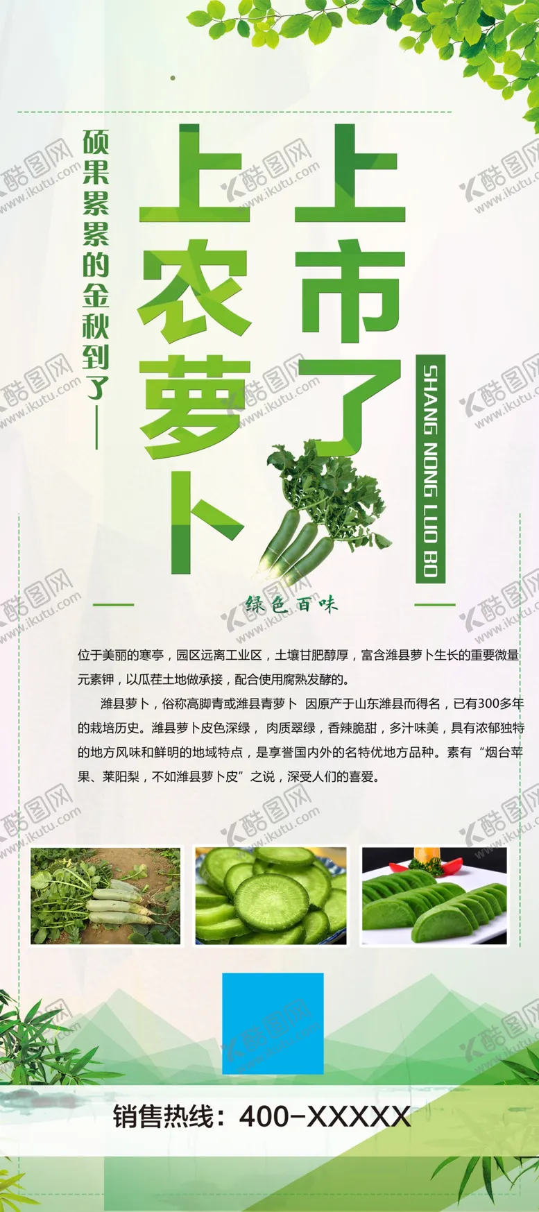 编号：17592309171919201759【酷图网】源文件下载-萝卜上市 