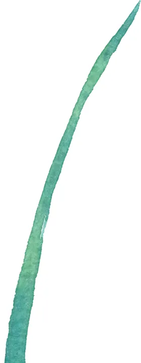 手绘水墨植物