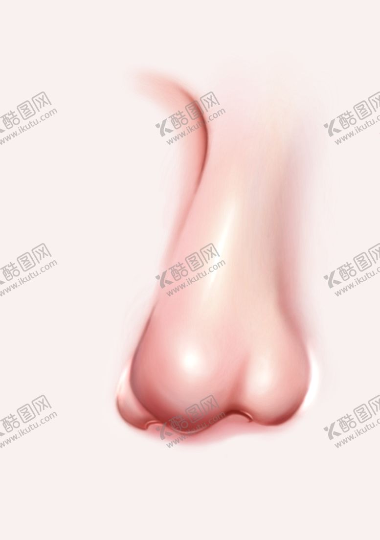 编号：71240509271128297361【酷图网】源文件下载-鼻子