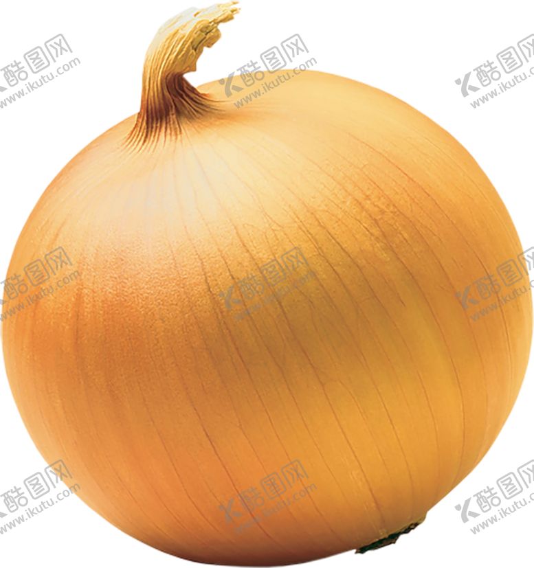 编号：71340306182341062537【酷图网】源文件下载-洋葱