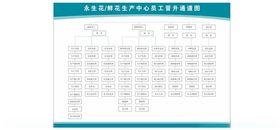 员工晋升通道图