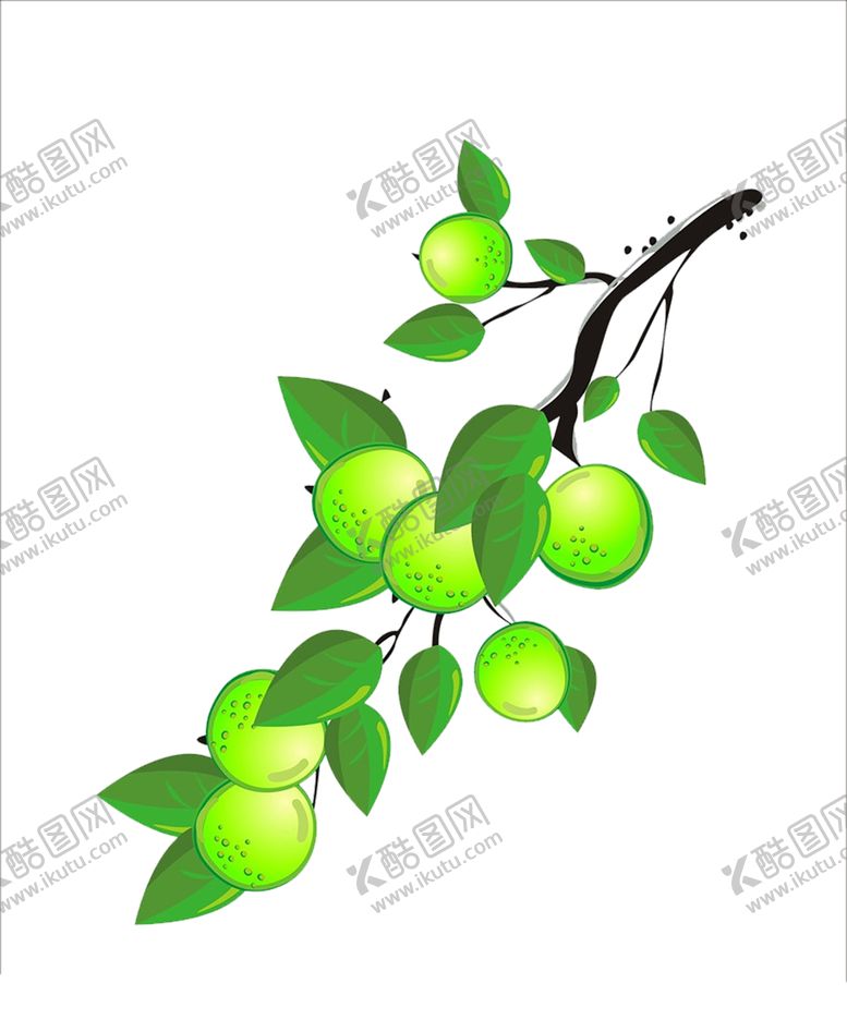 编号：26861709302151383232【酷图网】源文件下载-水果