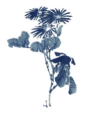 菊花装饰